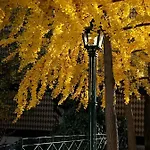 Douro - A Casa Do Rafael 维拉·雷阿尔