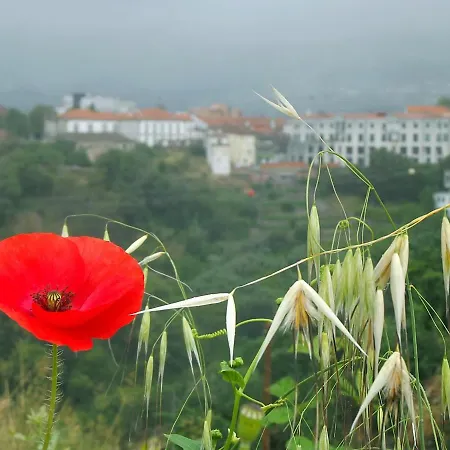 Douro - A Casa Do Rafael 公寓 *