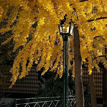 Douro - A Casa Do Rafael Vila Real