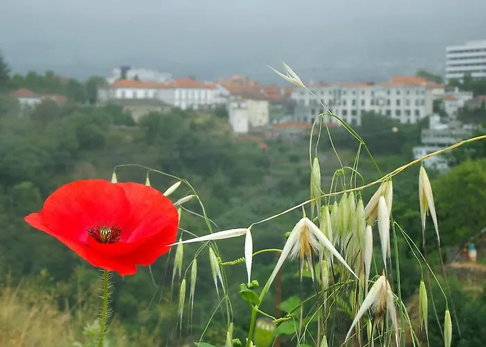 Douro - A Casa Do Rafael Апартаменты *