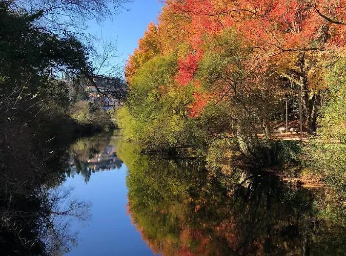 Апартаменты Douro - A Casa Do Rafael Вила-Реал