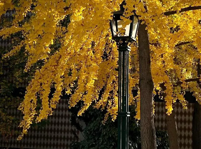 Douro - A Casa Do Rafael Вила-Реал